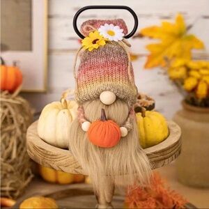 Pumpkin Fall Gnome with Knit Hat